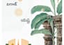 design professional invitations posts and posters